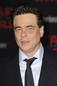 Benicio Del Toro