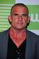 Dominic Purcell