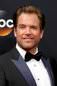 Michael Weatherly