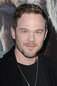 Shawn Ashmore