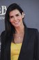 Angie Harmon