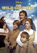 play video on VUDU