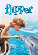 Flipper