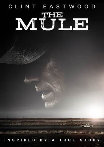 Mule