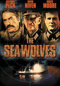 play video on VUDU