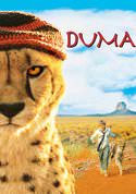 play video on VUDU