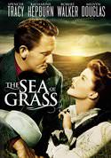 play video on VUDU