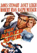play video on VUDU
