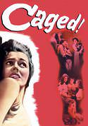 play video on VUDU