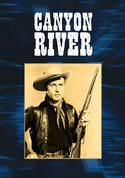 play video on VUDU