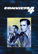 play video on VUDU