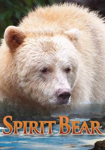 Spirit Bear