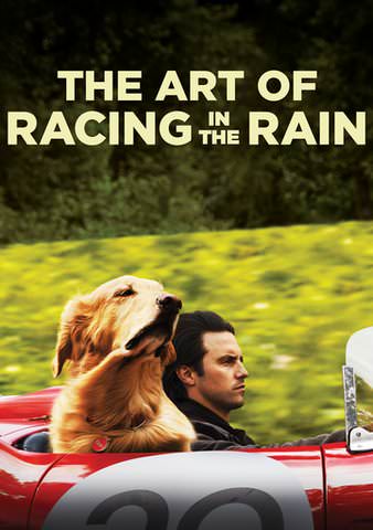 The Art of Racing in the Rain