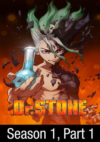 Dr Stone