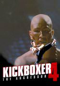 Kickboxer 4: The Aggressor