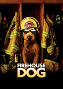 play video on VUDU