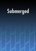play video on VUDU