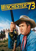 play video on VUDU