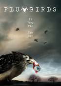 Flu Birds