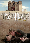 play video on VUDU