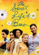 play video on VUDU