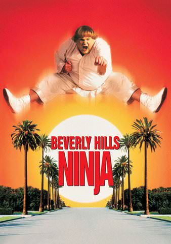 Beverly Hills Ninja