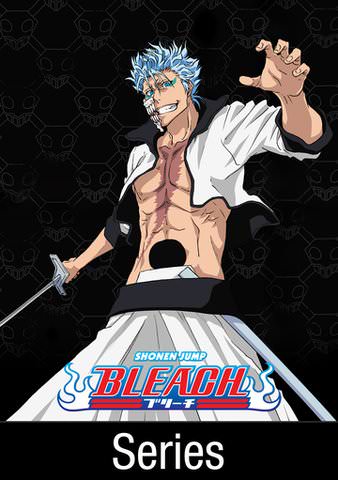 BLEACH (ENGLISH DUBBED) TV SERIES