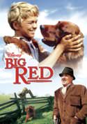 play video on VUDU
