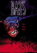play video on VUDU