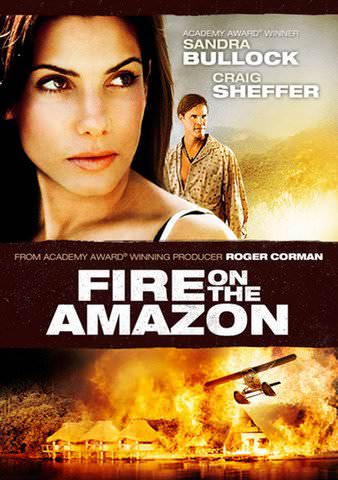 Fire on the Amazon