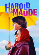 play video on VUDU