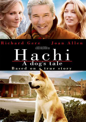 Hachi