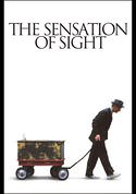 The Sensation of Sight