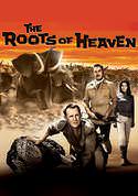 play video on VUDU