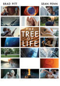play video on VUDU
