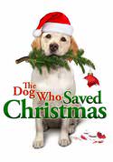play video on VUDU