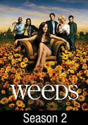 Weeds: Pittsburgh