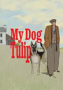 play video on VUDU