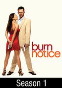 play video on VUDU