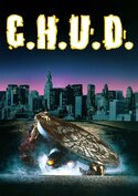play video on VUDU
