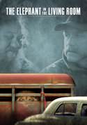 play video on VUDU