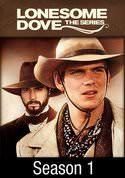 play video on VUDU