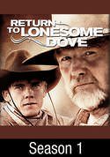 play video on VUDU