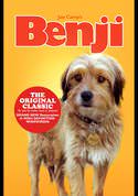 play video on VUDU