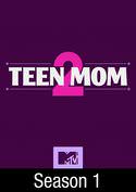 play video on VUDU