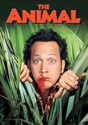 play video on VUDU