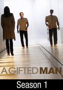 A Gifted Man: Pilot