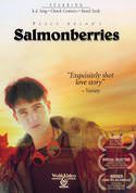 play video on VUDU