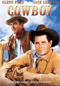 play video on VUDU