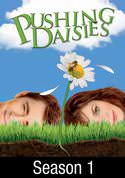 play video on VUDU